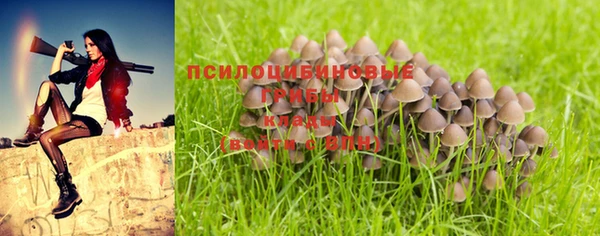 PSILOCYBIN Абинск
